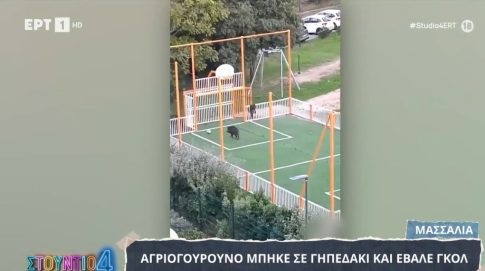 Παναθηναϊκός: Περιμένουν πάνω από 40.000 φιλάθλους στο ματς με την ΑΕΚ οι «πράσινοι»